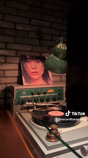Record Bar Analog in Tokyo - Vintage Vinyl Music Experience