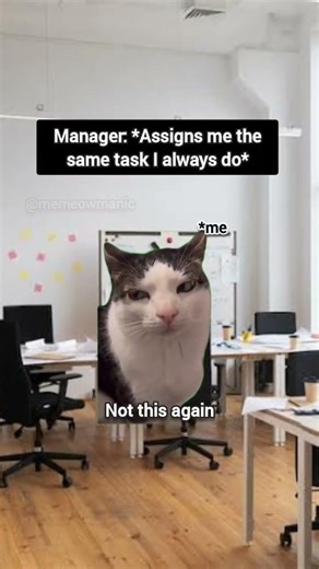 When your manager assigns any task #cat #funny #catlovers #memes #work #office #corporate #cats
