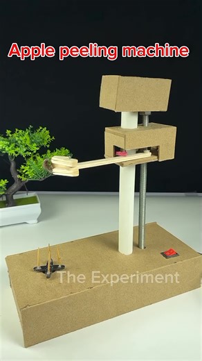 Apple Peeling machine #dcmotor #motorbuilding #tiktokvideo #fyp