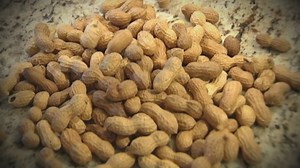 FDA approves first peanut allergy treatment