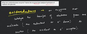 What are oxidoreductase enzymes? Name the enzyme that catalyses... | Filo