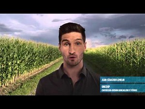 Comptable ou Comptable Professionnel Agréé?