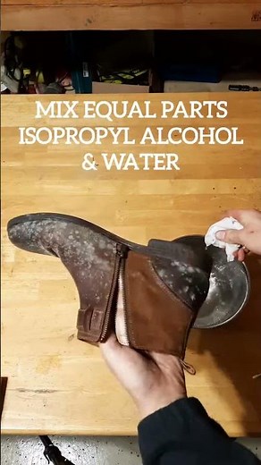 Remove Mold From Leather Shoes