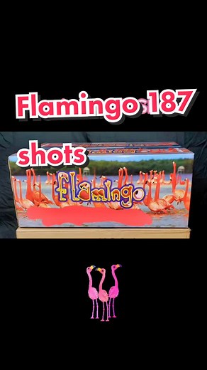 Mesmerizing Flamingo Firework Display - 187 Shots of Pink Elegance
