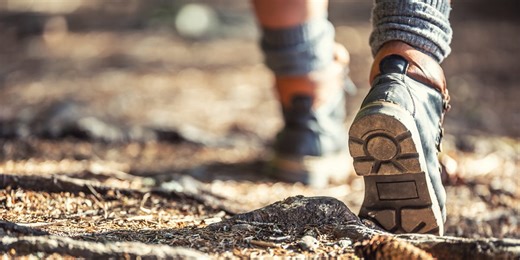 Trainers say walking with this tool delivers more of a full-body burn