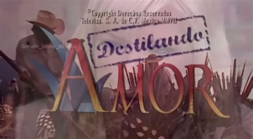 One of the best fights scenes (Part One) #destilandoamornovela #destilandoamoralbania #gaviota #dashuridhetekila #telenovelasmexicanas #telenovelaspanjolle #peleasdenovelas🤣 #shqip #perkthimeshqip #fyp #fyyyyyyyyyyyyyyyyyyy #fypシ゚viral #shqiperiaime_ #seriale