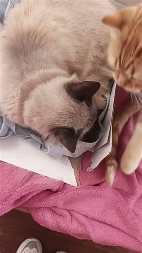 22 de febrero de 2026