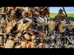 HOW TO GRILL SNAIL WITH BAMBOO SKEWER | this man grill snail with spicy sauce by using bamboo skewer