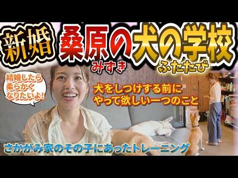 【さかがみ家】新婚・桑原みずきに事情聴取＆保護犬コジロウの英国式トレーニング！桑原の犬の学校再びスタート