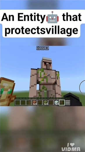 The Rise of the Village Protection Entity