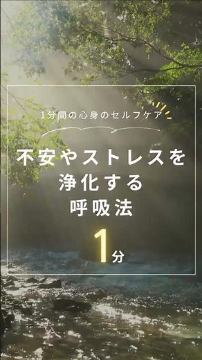 自律神経を整える🌿不安やストレスを浄化する呼吸法 #ココリラ #呼吸瞑想 #マインドフルネス瞑想
