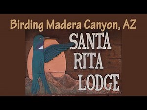 Madera Canyon, AZ: Santa Rita Lodge.