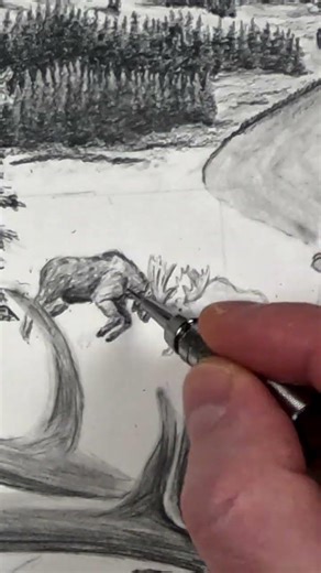 Drawing a Bull Moose Battle with Pencil
