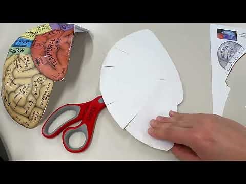 Blow Off Some STEAM - Make a brain hat