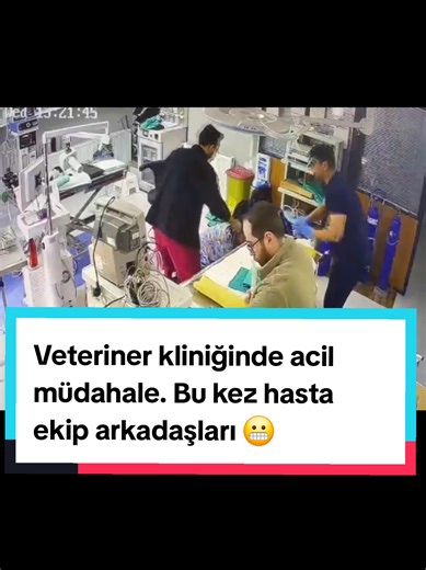 Veteriner Kliniğinde Acil Müdahale Anları