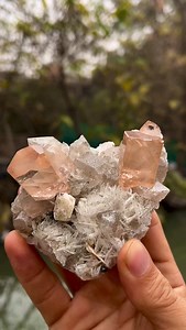 💎 Topaz Crystals on Matrix with Smoky Quartz & Cleavelandite 💎 An outstanding and highly aesthetic mineral specimen featuring well-formed peach to champagne-colored Topaz crystals beautifully set on their natural matrix, combine with Smoky Quartz and delicate bladed Cleavelandite (Albite) crystals. 📍 Origin: Skardu Valley, Gilgit-Baltistan, Pakistan ⚖ Weight: 311 grams 📐 Size: 90 × 75 × 50 mm (approx.) 🌍 Worldwide shipping available 📩 DM for price & further details #topaz #topazcrystal #to