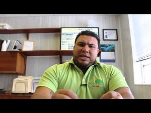 Pest Control in Miami:Perimeter Treatments