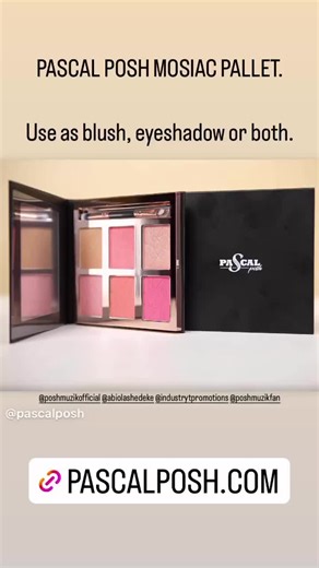 PASCAL POSH MOSIAC PALLET. Use as blush, eyeshadow or both. Be Bold!! Be Beautiful!! Visit PASCALPOSH.COM #makeup #cute #lips #eyeshadow #blush @industrytpromotions
