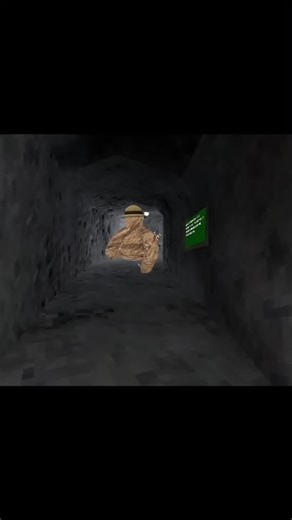 Terminator on TikTok