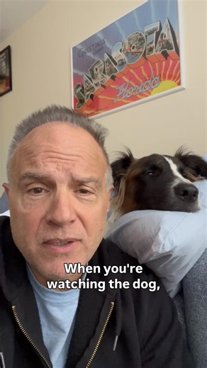 Dog Accidents Happen