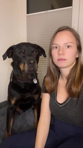 Buddy hat hier gar nix zu sagen 😁 #nixdarfman #nixzusagen #garnix #funnydog #rottweiler #rottweilermom #viral #fy #fypdongggggggg #fypage