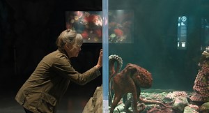 'Remarkably Bright Creatures' Review: Sally Field, Lewis Pullman & Marcellus