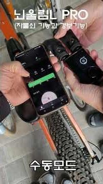 Bicycle theft alarm lock thunder ring L PRO