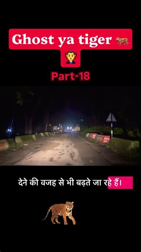 The Ghosts of Jim Corbett 🐅🧛‍♂️ #JimCorbettDiaries #DiwaliNight #NightDrive #WildTigers #horror P...
