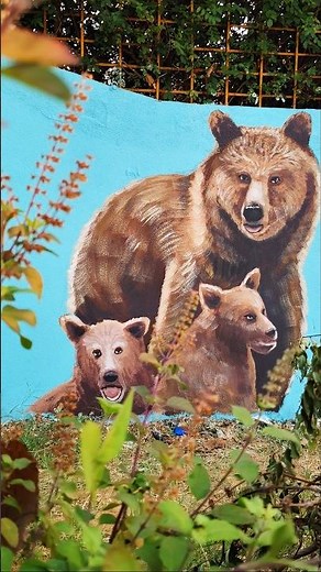 Realistic Bear Painting 🐻 | Wall Art Process | Mother Bear & Cubs Painting