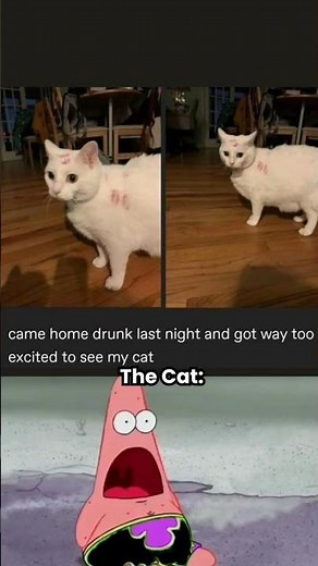 #memeedit