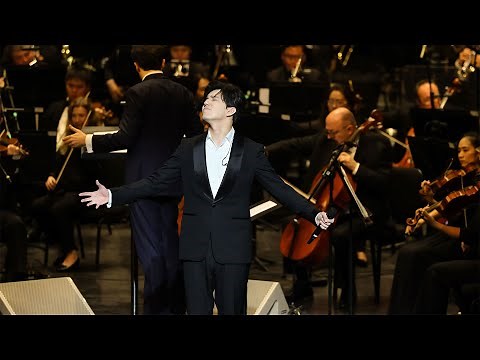 ODE TO LOVE - Dimash - HoGuom Opera - Vietnam - A Night with The Stars