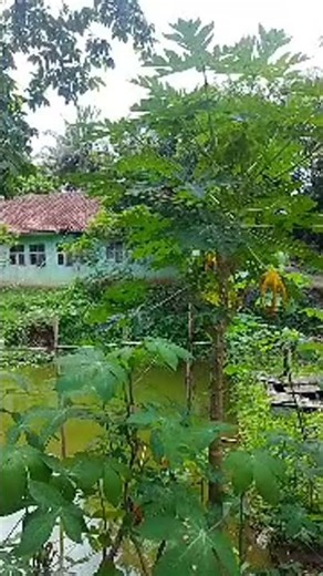 dongeng Sunda jawara laut kidul