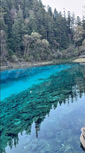 Five-colour pond in China Sichuan Jiuzhai Valley 五彩池九寨沟好迷人 #travel #china #viral