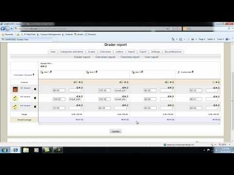 Moodle Training: Manually Entering Grade Items