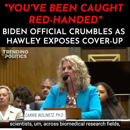 51K views · 1K reactions | They're falling apart and it's glorious! | Trending Politics | Facebook