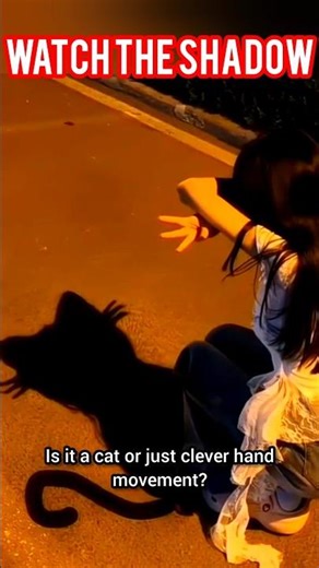 This Shadow Art is Absolute MAGIC! 🐈‍⬛ #shorts