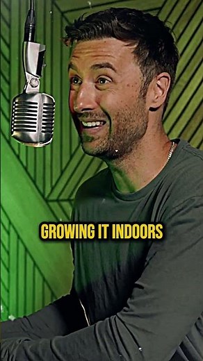 Marijuana Kingpin Reveals Where Purple Haze Bud Actually Comes From