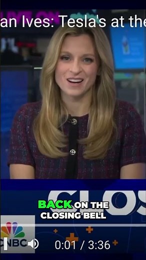 Tesla Stock Analyst Price Targets Soar - WHY?