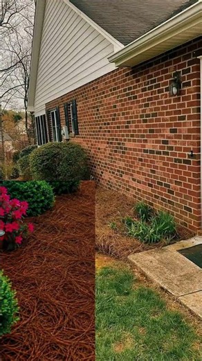 PINE NEEDLE INSTALL