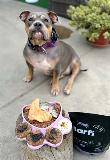 Receta Natural para Mascotas con Barfi