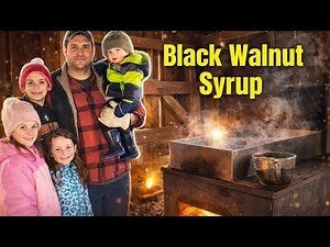 Here's How YOU Can Make BLACK WALNUT SYRUP!