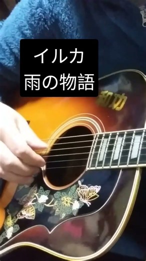 イルカ/雨の物語