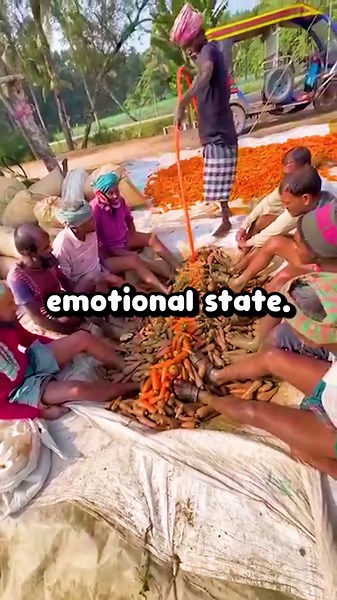 Exploring Time Manipulation in Fictional Stories