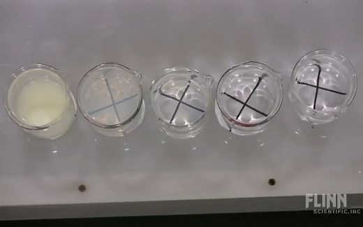 Rate of Reaction of Sodium Thiosulfate and Hydrochloric Acid
