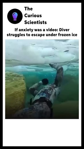 Science | Interesting | How it works | A viral video circulating on social media shows a diver trapped under a thick sheet of ice, frantically searching for a way out. The... | Instagram