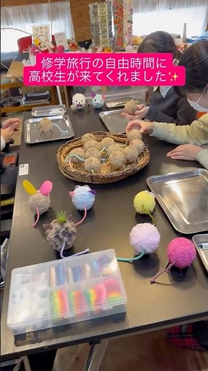 修学旅行の自由時間🌱かわいすぎる苔玉ペット『モスペット』制作体験！【ゆるキャラコース】【京都】 #ハンドメイド #京都観光 #かわいい