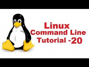 Linux for Beginners in 8 Hours: 🔥 Master 100 Essential Commands FAST