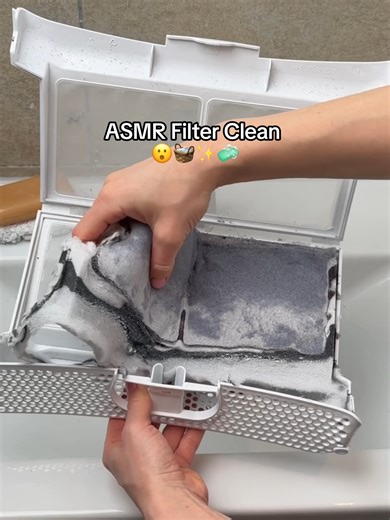 Be honest… does this satisfy your brain a little too much? 👀 ASMR dryer cleaning hits differently when everything works the way it should. Clean the filter, wipe the sensors and the Bosch Series 8 dryer takes care of the rest with automatic condenser cleaning, consistent airflow, and reliable drying performance. Clean machine. Smooth cycles. Pure calm. ✨ #Bosch #BoschHomeGlobal *Please note that the products shown in this video are only available in limited quantities and in selected markets.