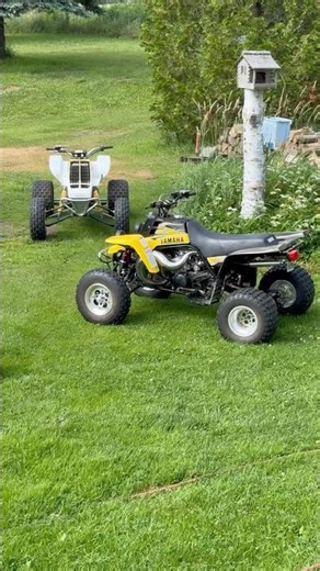 Couple of Banshees #yamaha #banshee #twostroke #offroad #dirtbike #atv #bikelife #savesportquads