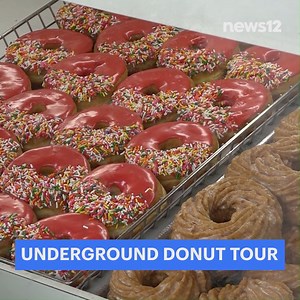 DONUT TOUR News 12 is bringing you a taste of the Underground Donut Tour of some of Brooklyn's best mom-and-pop donut shops. 🍩https://tinyurl.com/3d8683ks | News 12 Brooklyn